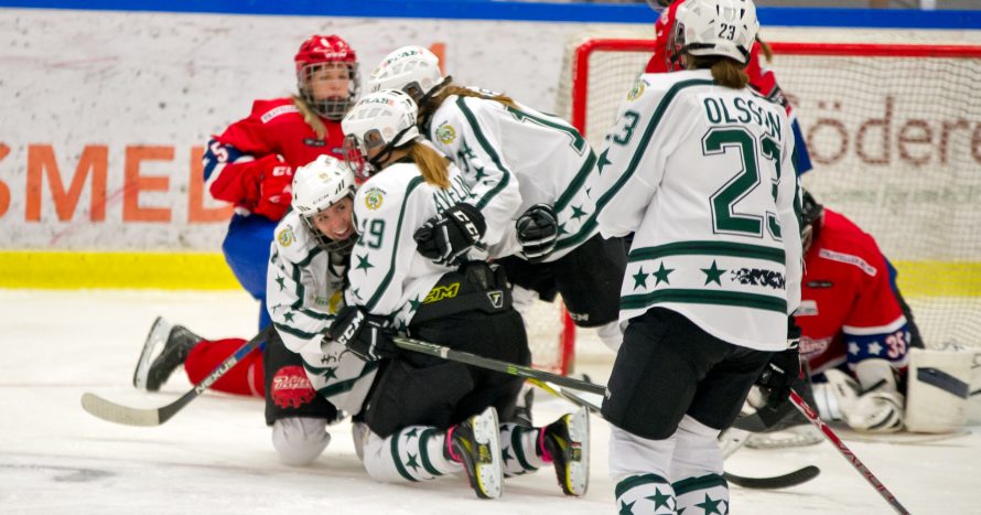 Huddinge borta dam-12