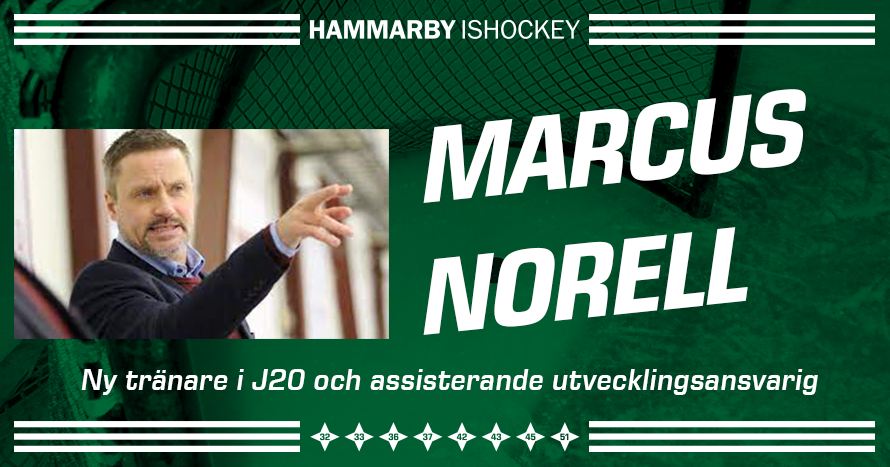 Marcus Norell till Hammarby Ishockey