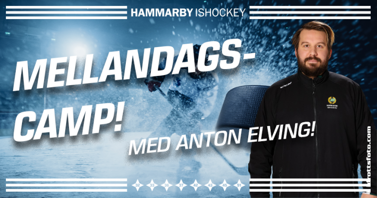 CAMP_Mell__25_890x467